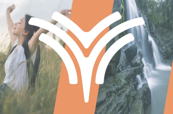 Neta Auto: Significado e a filosofia da marca